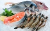 Seafood